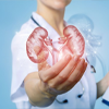 Kidney Health